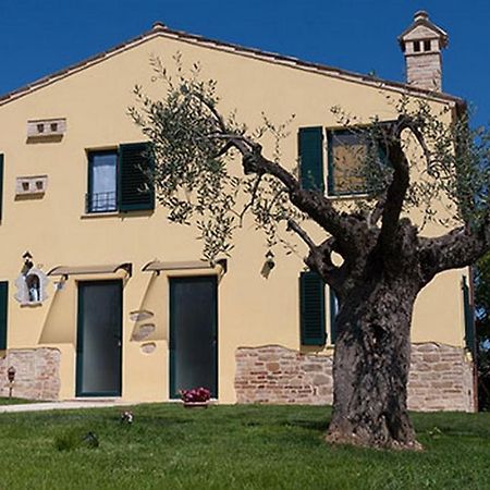 La Tana Del Cinghiale Villa Santa Vittoria in Matenano Dış mekan fotoğraf