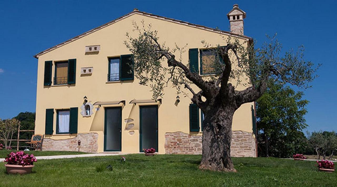 La Tana Del Cinghiale Villa Santa Vittoria in Matenano Dış mekan fotoğraf